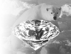 Polar Bear Diamond