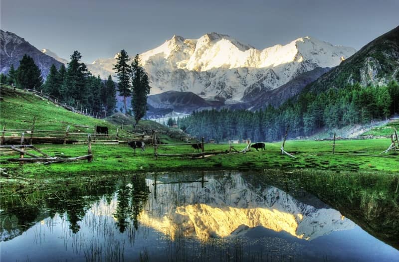 Fairy Meadows 1