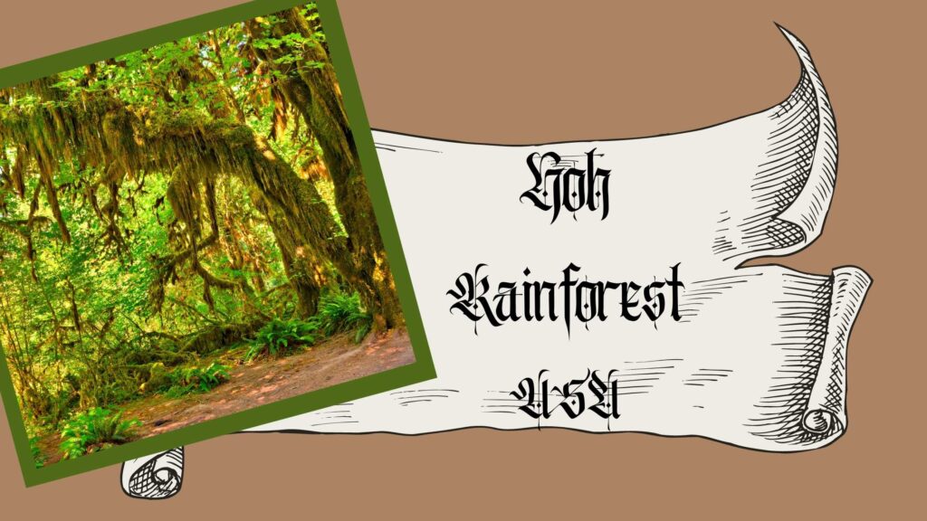 Hoh Rainforest