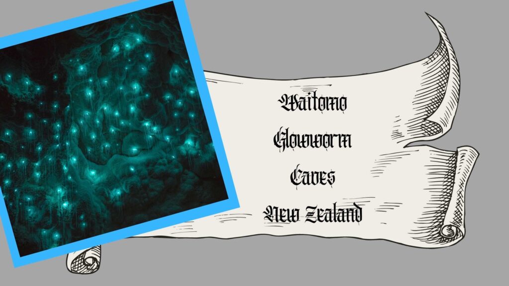 Waitomo Glowworm Caves