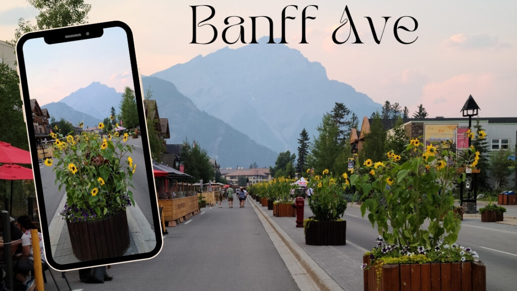 Banff Ave fun