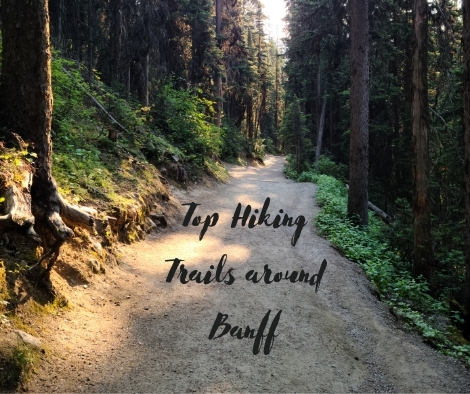 Top Hiking Trails around Banff 1 1