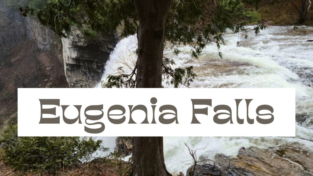 Eugenia Falls