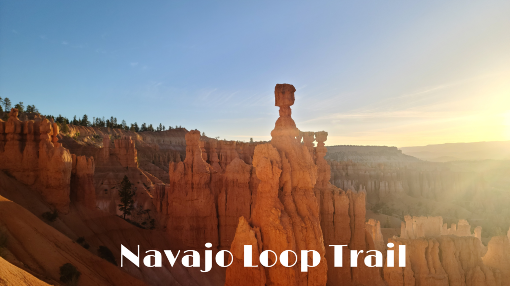 Navajo loop trail