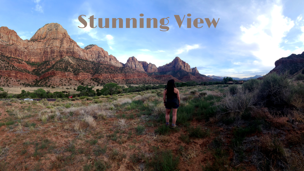Zion Viewpoint
