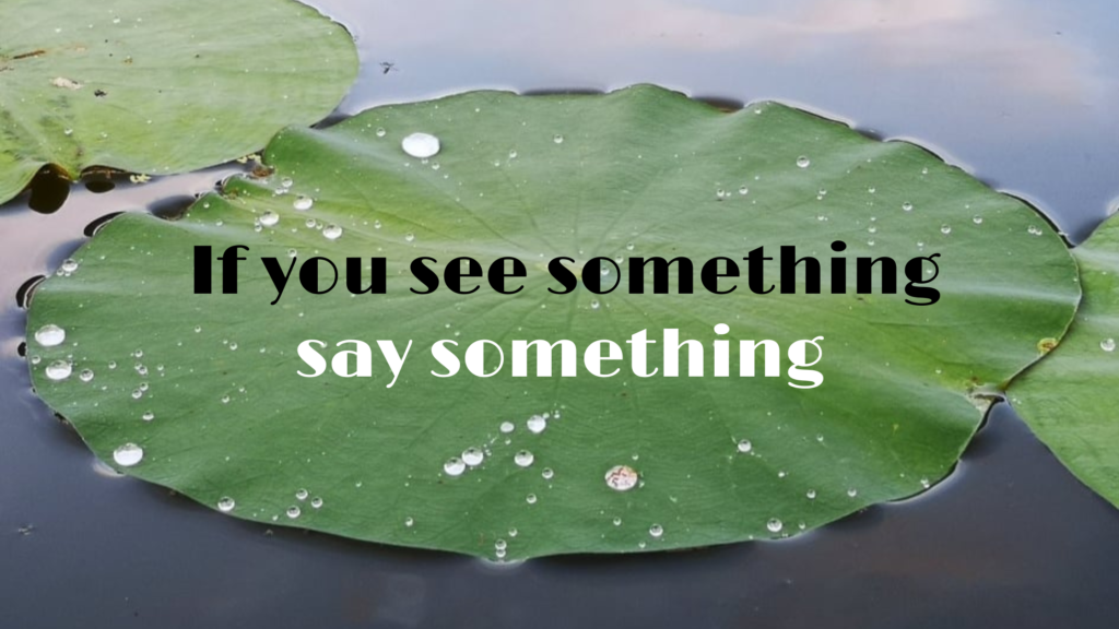 if you see something