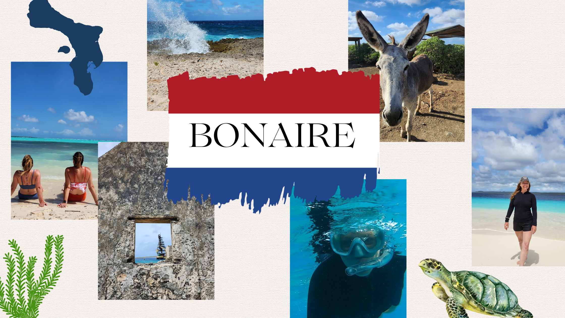 Bonaire blog